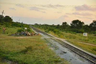 DSC_4251 (Large).JPG